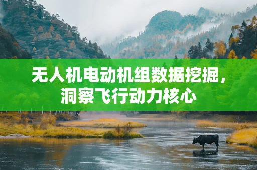 无人机电动机组数据挖掘，洞察飞行动力核心