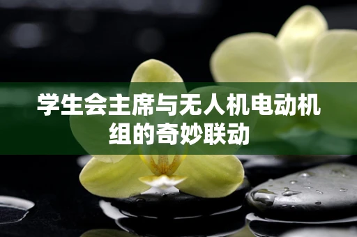 学生会主席与无人机电动机组的奇妙联动