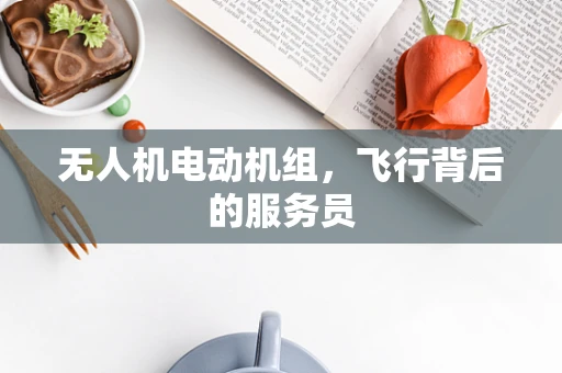 无人机电动机组，飞行背后的服务员