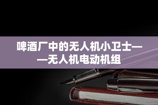 啤酒厂中的无人机小卫士——无人机电动机组