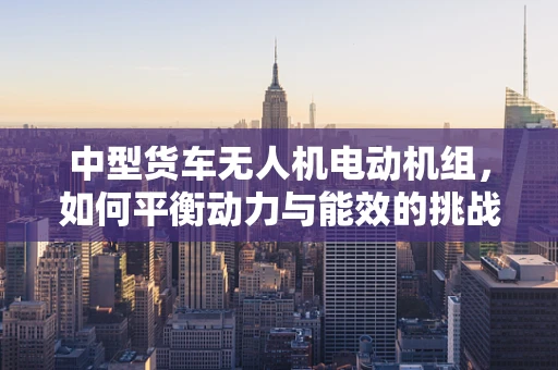 中型货车无人机电动机组，如何平衡动力与能效的挑战？