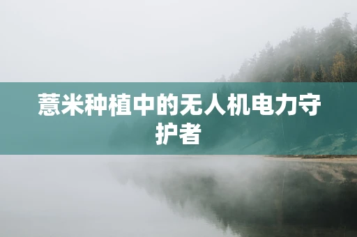 薏米种植中的无人机电力守护者