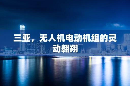 三亚，无人机电动机组的灵动翱翔