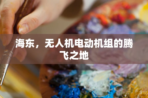 海东，无人机电动机组的腾飞之地