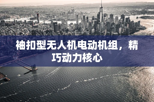 袖扣型无人机电动机组，精巧动力核心