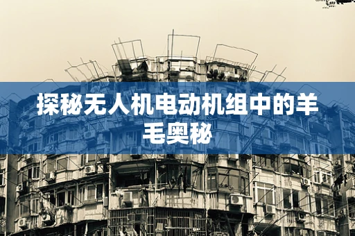 探秘无人机电动机组中的羊毛奥秘