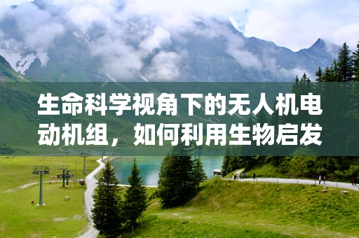生命科学视角下的无人机电动机组，如何利用生物启发的冷却系统提升性能？