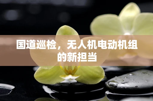 国道巡检，无人机电动机组的新担当