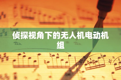 侦探视角下的无人机电动机组