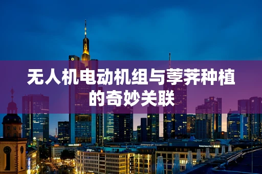 无人机电动机组与荸荠种植的奇妙关联