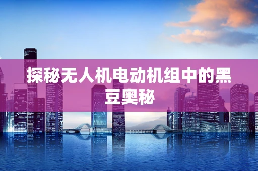 探秘无人机电动机组中的黑豆奥秘