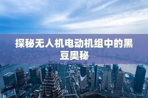 探秘无人机电动机组中的黑豆奥秘