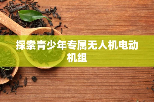 探索青少年专属无人机电动机组