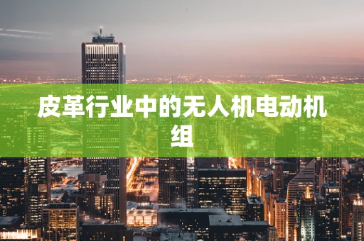 皮革行业中的无人机电动机组