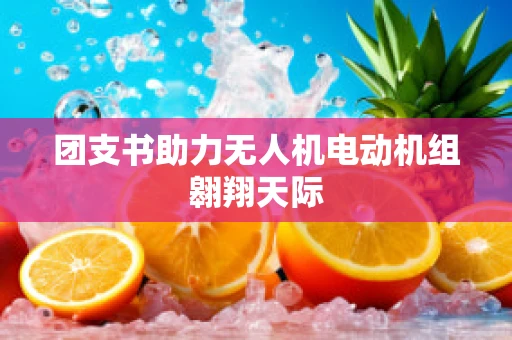 团支书助力无人机电动机组翱翔天际