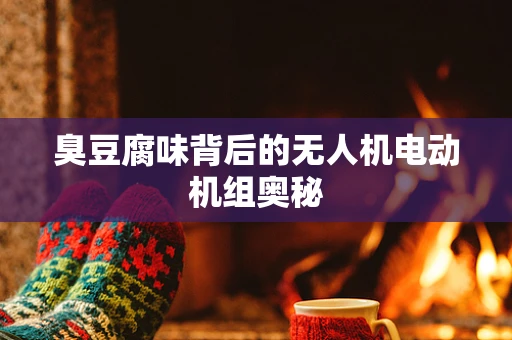 臭豆腐味背后的无人机电动机组奥秘