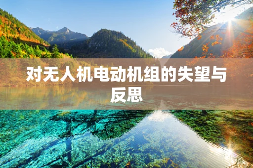 对无人机电动机组的失望与反思