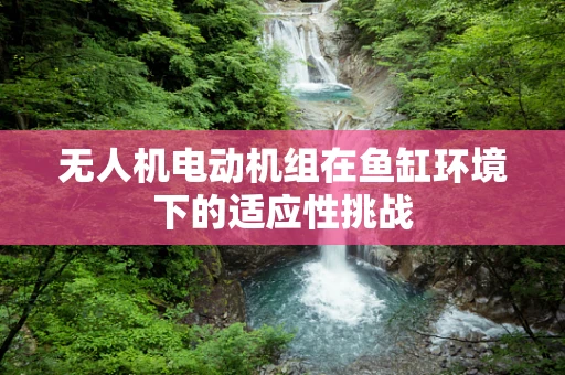 无人机电动机组在鱼缸环境下的适应性挑战
