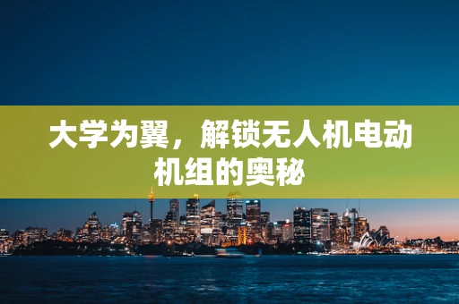 大学为翼，解锁无人机电动机组的奥秘