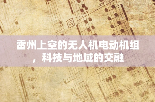 雷州上空的无人机电动机组，科技与地域的交融