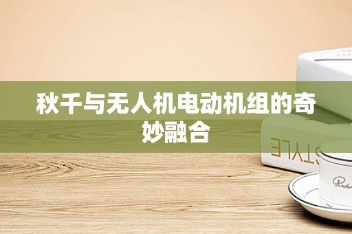 秋千与无人机电动机组的奇妙融合