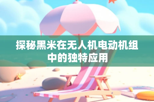 探秘黑米在无人机电动机组中的独特应用