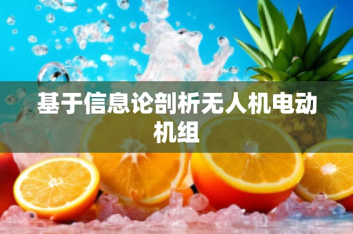 基于信息论剖析无人机电动机组