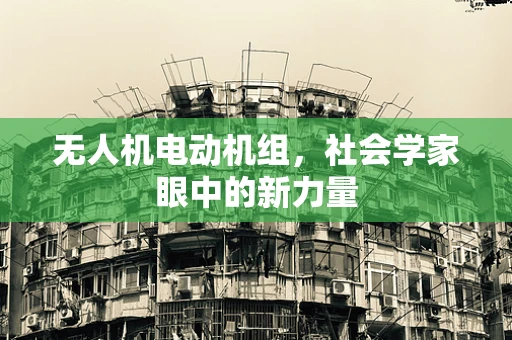 无人机电动机组，社会学家眼中的新力量
