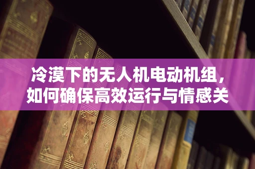 冷漠下的无人机电动机组，如何确保高效运行与情感关怀的平衡？