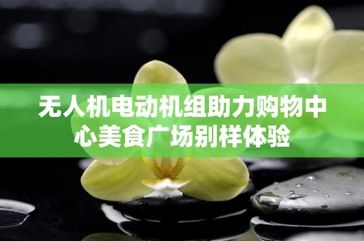 无人机电动机组助力购物中心美食广场别样体验