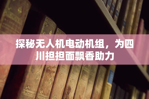 探秘无人机电动机组，为四川担担面飘香助力