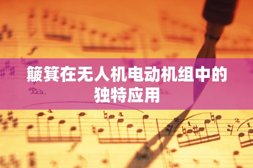 簸箕在无人机电动机组中的独特应用