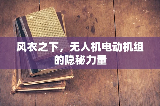 风衣之下，无人机电动机组的隐秘力量