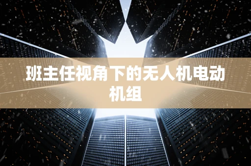 班主任视角下的无人机电动机组