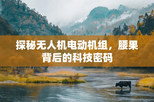 探秘无人机电动机组，腰果背后的科技密码