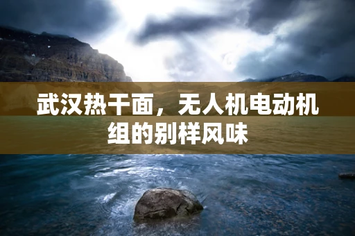 武汉热干面，无人机电动机组的别样风味