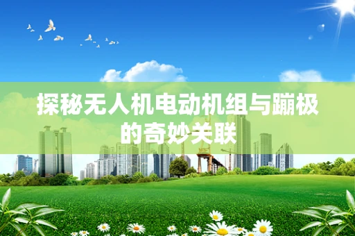 探秘无人机电动机组与蹦极的奇妙关联