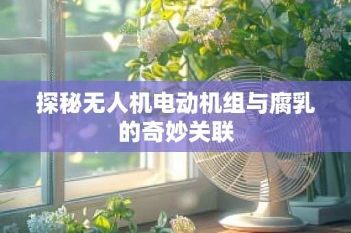 探秘无人机电动机组与腐乳的奇妙关联
