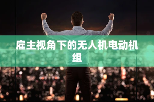 雇主视角下的无人机电动机组