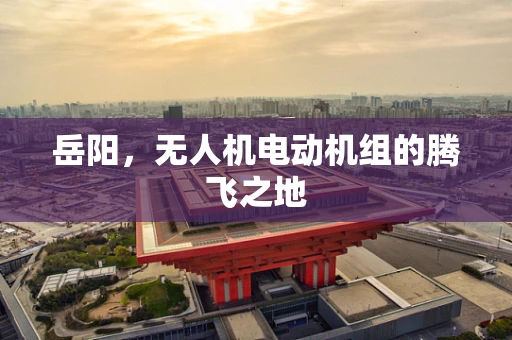 岳阳，无人机电动机组的腾飞之地
