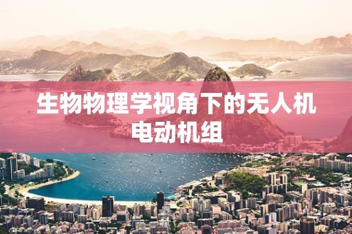 生物物理学视角下的无人机电动机组