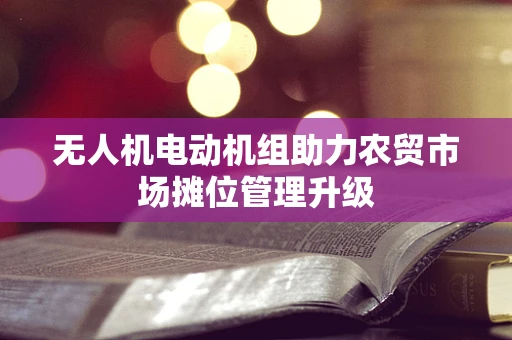 无人机电动机组助力农贸市场摊位管理升级