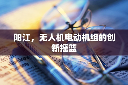 阳江，无人机电动机组的创新摇篮