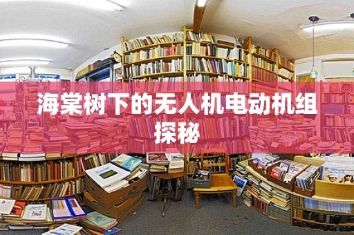 海棠树下的无人机电动机组探秘