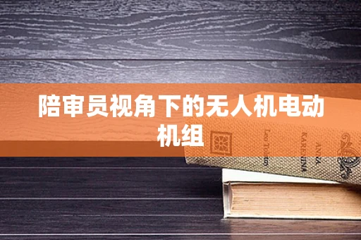 陪审员视角下的无人机电动机组