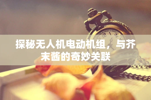 探秘无人机电动机组，与芥末酱的奇妙关联