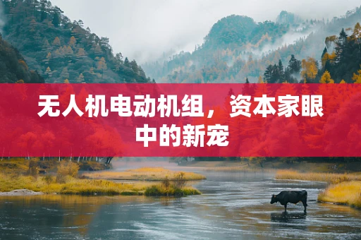 无人机电动机组，资本家眼中的新宠