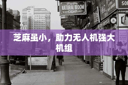 芝麻虽小，助力无人机强大机组