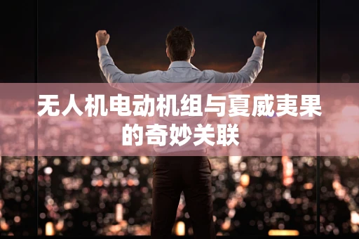无人机电动机组与夏威夷果的奇妙关联