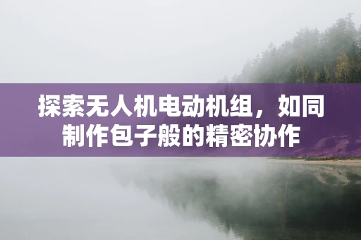 探索无人机电动机组，如同制作包子般的精密协作